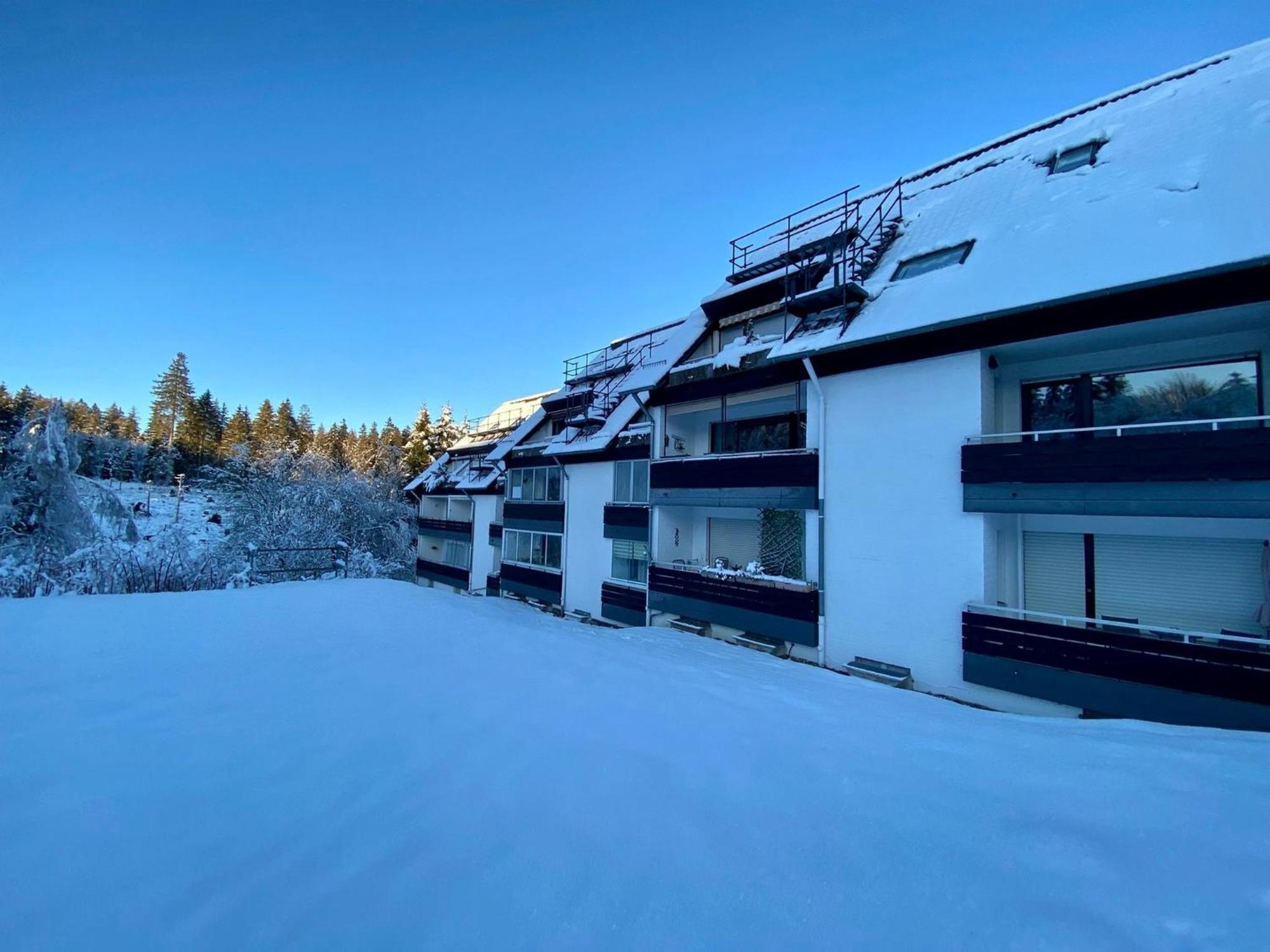 Ferienwohnung Waldgaenger Hahnenklee Goslar Ngoại thất bức ảnh